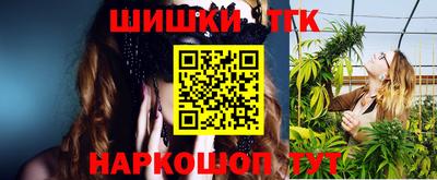 МДПВ Кингисепп