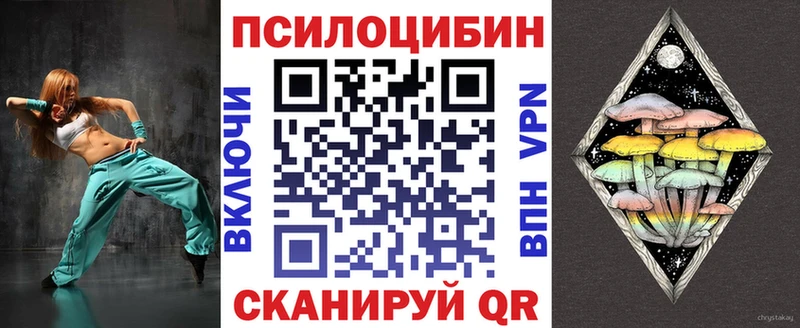 дарк нет наркотические препараты Краснокаменск Галлюциногенные грибы мицелий