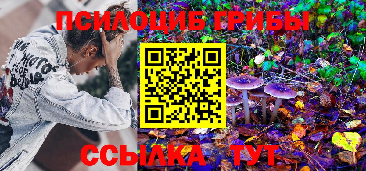 Галлюциногенные грибы мухоморы  Вход с VPN  закладка  Краснокаменск  Галлюциногенные грибы мицелий 